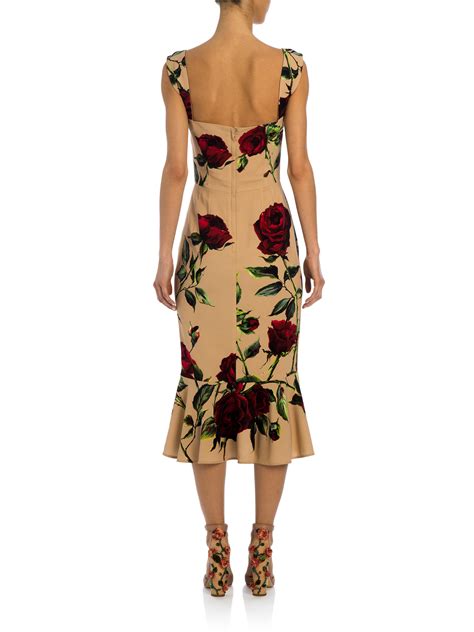 dolce gabbana dolce rosa|Dolce & Gabbana rose print dress.